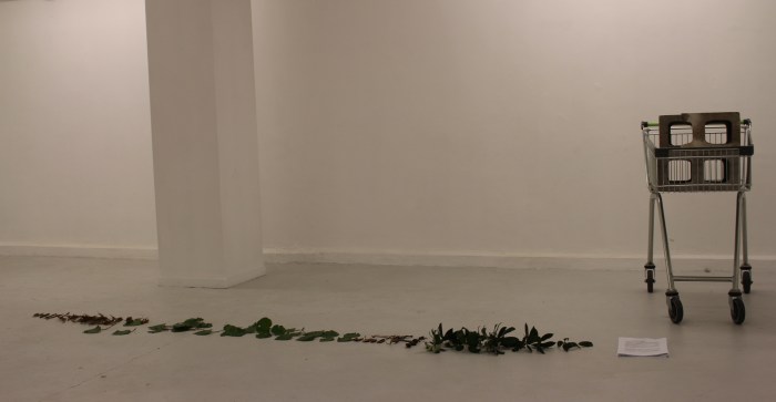 'collection cultures/the urban maori: an ethnography' Hana Aoake (pre performance)