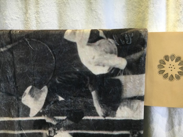 WS_lanalopesi_2016_6