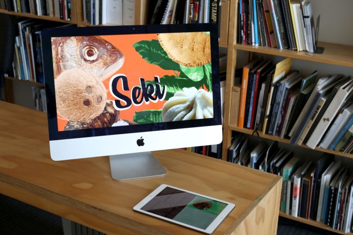 Seki_installation view_2016